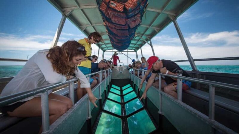 Bali: Glass Bottom Boat & Turtle Conservation Tour - The Sum Up