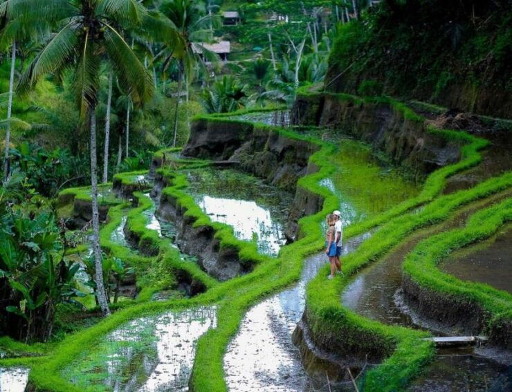 Bali: Goa Gajah, Tegenungan Waterfall & Neka Museum Day Tour - Good To Know