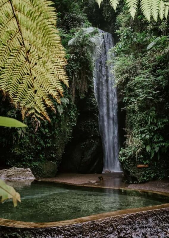 Bali: Goa Rang Reng Waterfall, Temple, and Jungle Swing Tour - Introduction