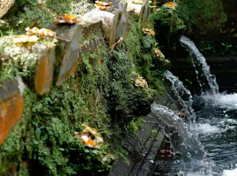 Bali: Goa Rang Reng Waterfall, Temple, and Jungle Swing Tour - Who Would Love This Tour?