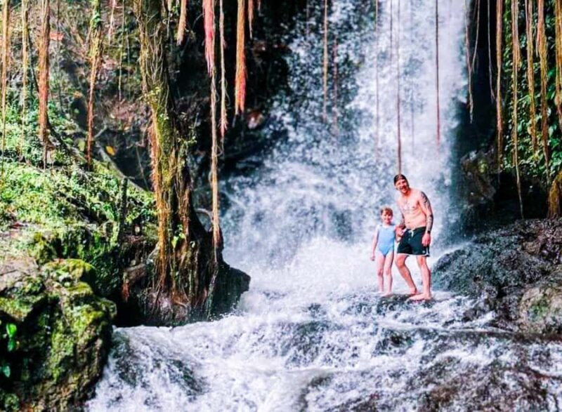 Bali: Graceful Art, Sacred Forest, Serenity and Lotus Bloom - Good To Know