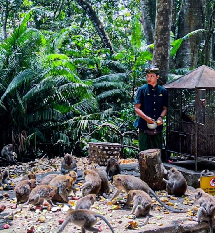 Bali: Graceful Art, Sacred Forest, Serenity and Lotus Bloom - Saraswati Temple: Artistic and Spiritual Closure