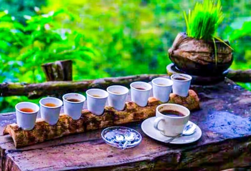 Bali: Graceful Art, Sacred Forest, Serenity and Lotus Bloom - Transportation, Timing, and Practical Tips