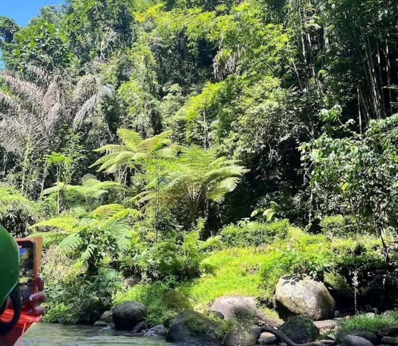 Bali: Green Bali Rafting Experience with Hotel Transfer - Who Should Consider This Tour?  