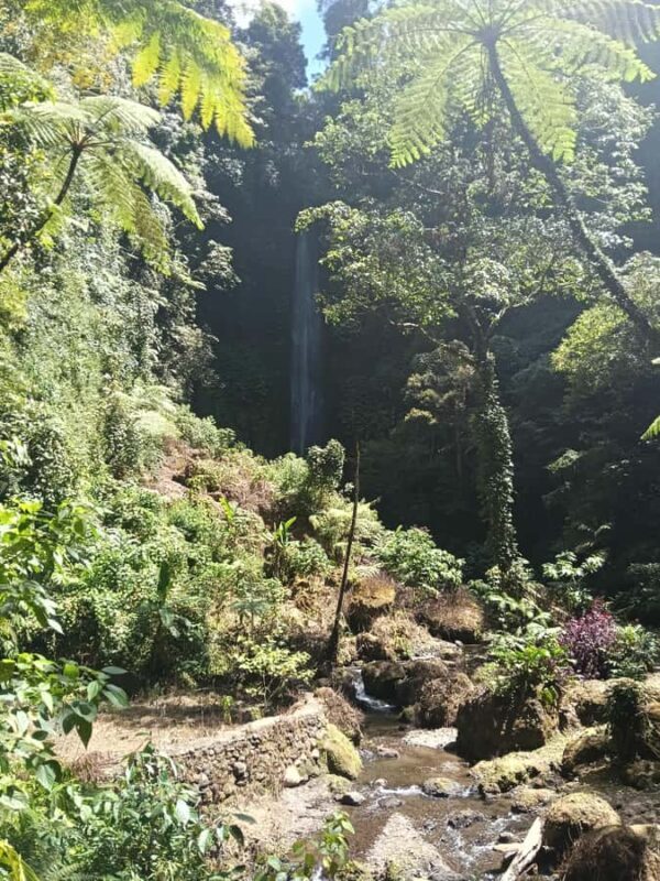 Bali: Guided Hike to 6 Hidden Waterfalls with Picnic Lunch - Exploring Bali’s Secret Waterfalls: A Guided Hike with a Picnic