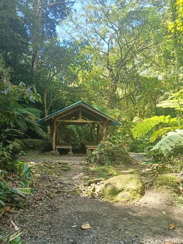 Bali: Guided Hike to 6 Hidden Waterfalls with Picnic Lunch - Practical Details: Transportation, Duration, and Comfort