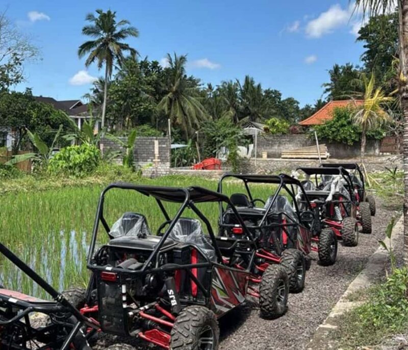 Bali: Guided Off-Road UTV Buggy Ride with Documentation - Who Is This Tour Best For?