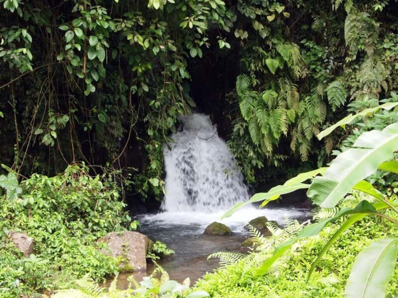 Bali: Gunung Kawi Temple & Pakerisan UNESCO Guided Tour - Who Will Love This Tour?
