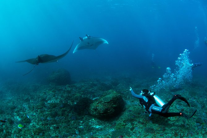 Bali Hai - PADI Advance Open Water Course in Bali - Certification Requirements