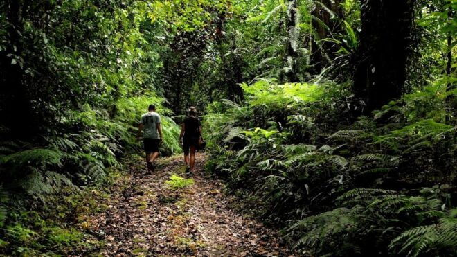 Bali: Half-Day Bayad Eco Hike - Activity Highlights