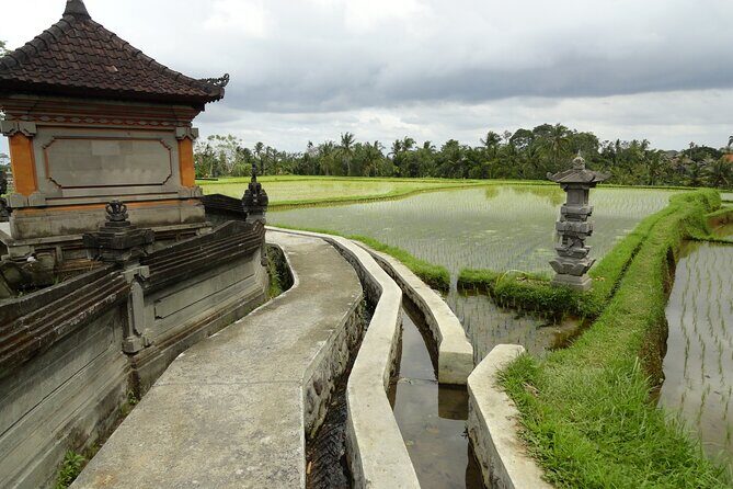 Bali Half Day Cultural and Nature - Frequently Asked Questions
