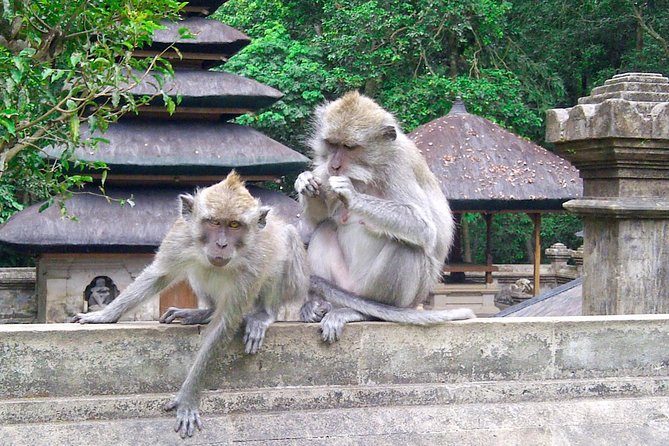 Bali Half-Day TANAH LOT SUNSET, Taman Ayun Temple With Dinner - Itinerary Overview