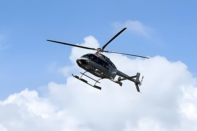 Bali Helicopter Tour: Scenic Helicopter Tour Over Bali Nature - Who Is This Tour Perfect For?