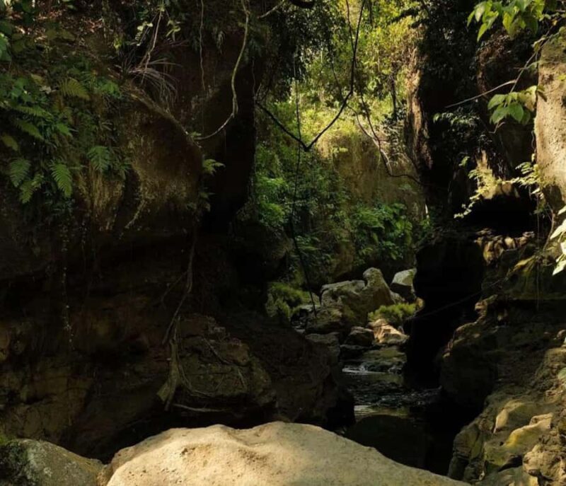 Bali: Hidden Canyon Beji Guwang Trekking Adventure - Why It’s Worth Considering