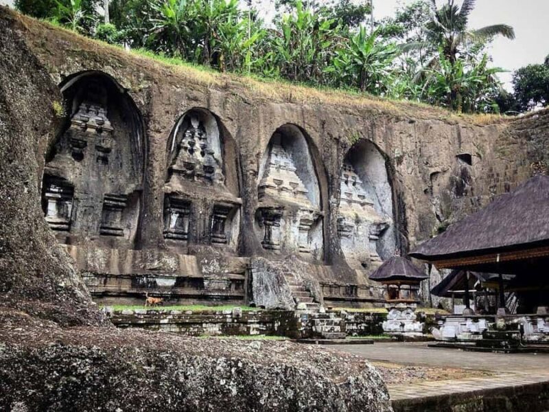 Bali Hidden: Hidden Canyon, Tirta Empul & Gunung Kawi - Authentic Insights from Guest Reviews