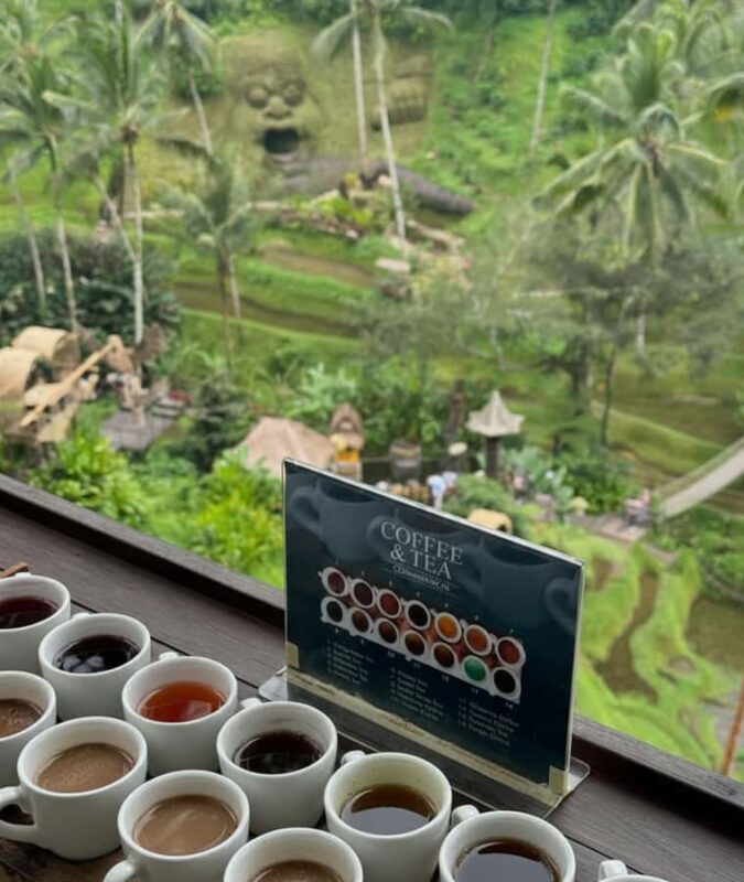 Bali: Hidden, Kintamani And New Secret Waterfalls Tour - Final Thoughts: Is This Tour Worth It?