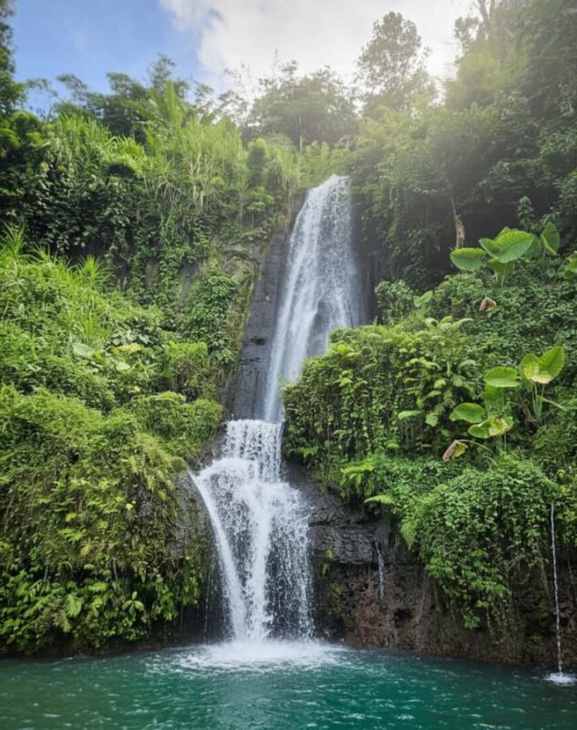 Bali: Hidden, Kintamani And New Secret Waterfalls Tour - FAQ