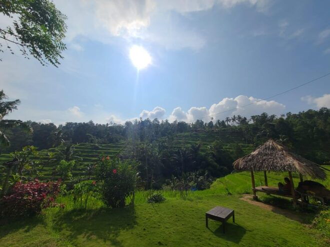 Bali Hidden Trekking, Waterslide, Sekumpul, & Fiji Waterfall - Transportation Options