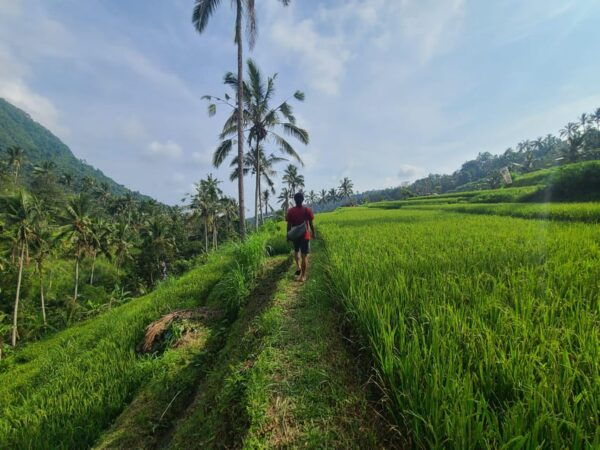 Bali Hidden Trekking, Waterslide, Sekumpul, & Fiji Waterfall - Pricing and Booking Details