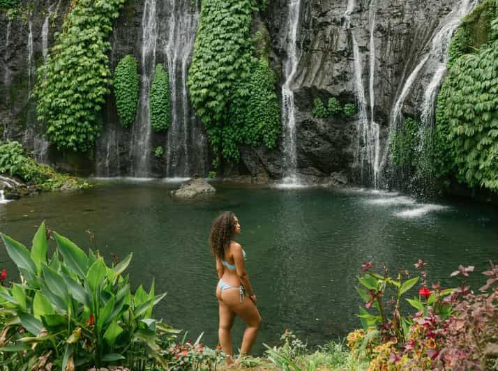 Bali : Hidden Waterfalls Tour (All Inclusive & Private) - Itinerary Highlights