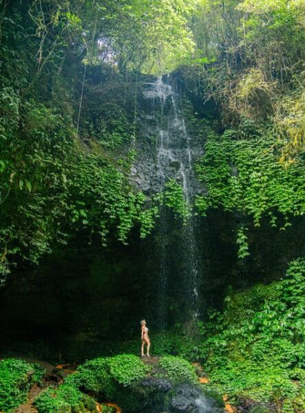 Bali : Hidden Waterfalls Tour (All Inclusive & Private) - Booking and Cancellation Policy
