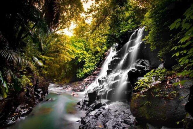 Bali: Hidden Waterfalls Tour and Swing Experience in Ubud - Itinerary Overview and Schedule
