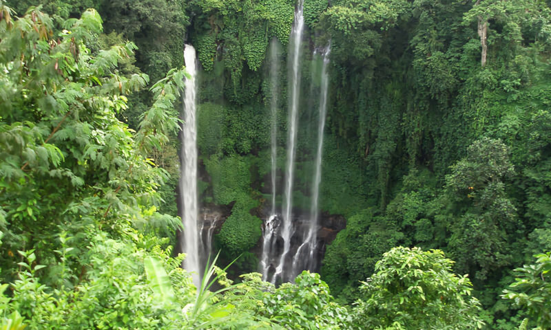 Bali Hidden Waterfalls Trip - Choose a waterfall route that fits your day