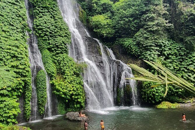 Bali Highlight Customized Full Day Private Tour - What Do You Get in the Price?