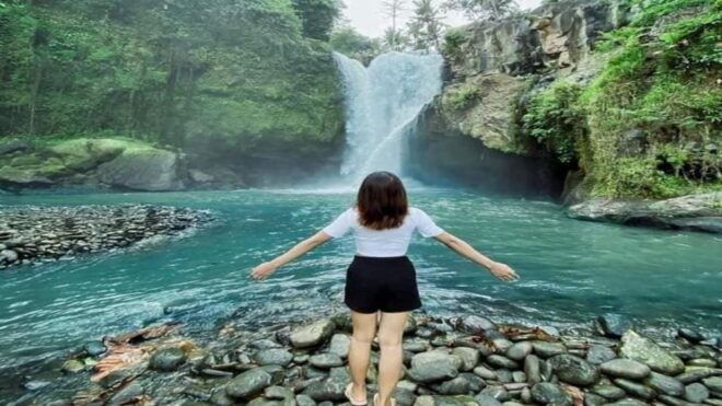 Bali: Highlights Full-day Private Customized Tours - Pickup Information and Service Details