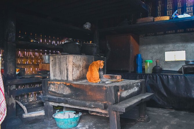 Bali Highlights Full-Day Tour With Mt Batur Volcano, Sri Batu  - Ubud - Tour Highlights and Itinerary