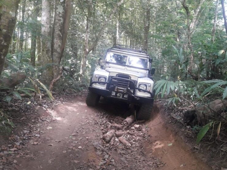 Bali: Highlights Jungle Tour With 4WD Jeep Car - Jeep Adventure Experience