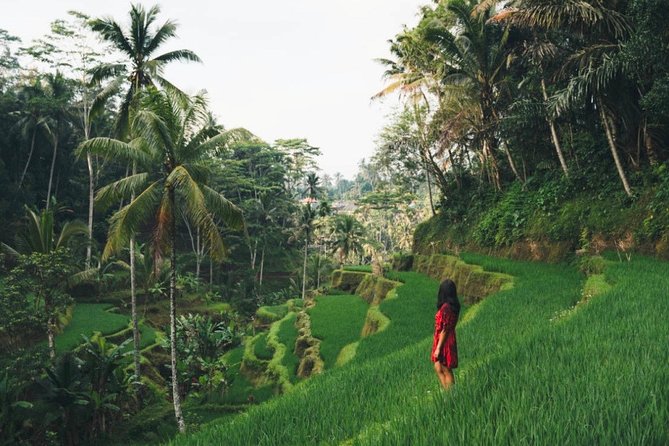 Bali Highlights : Nature, Waterfall, Rice Terraces and Volcano - Good To Know