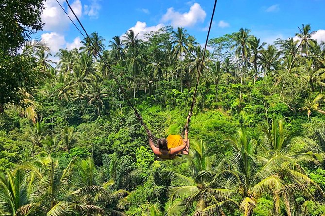 Bali Highlights : Private 2 Day Bali Tours - Tour Overview