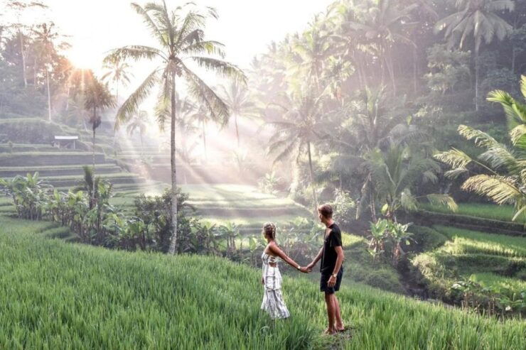 Bali Highlights Ubud Tour - Tour Price and Booking Options