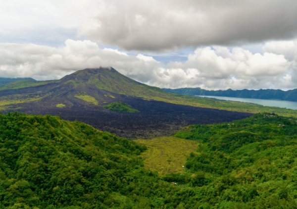 Bali Highlights: Volcanoes, Temples, Waterfall, Rice Terrace - Tegallalang Rice Terraces