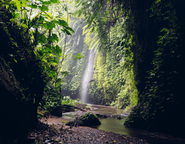 Bali Highlights: Volcanoes, Temples, Waterfall, Rice Terrace - Coffee Tasting Experience
