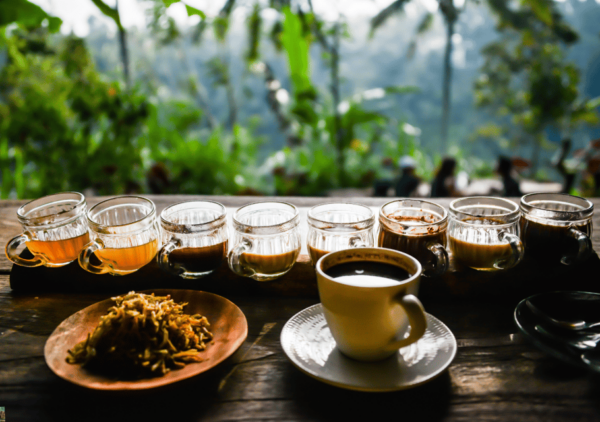 Bali Highlights: Volcanoes, Temples, Waterfall, Rice Terrace - Travel Tips and Recommendations
