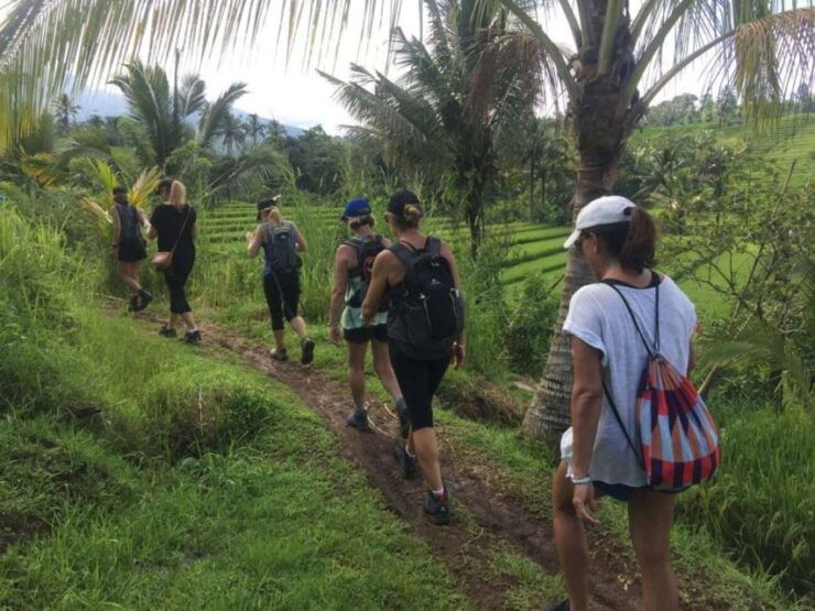 Bali: Hill Side Lemukih Treeking With Amazing View - Booking Information