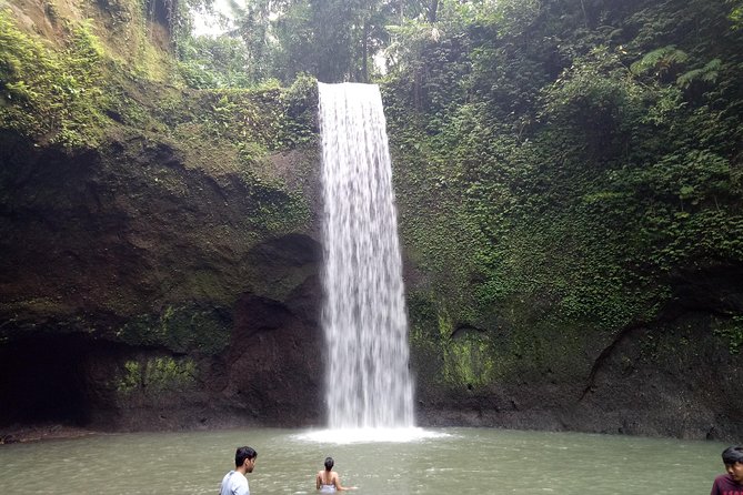 Bali Hire Car and Driver - Confirmation and Accessibility Information