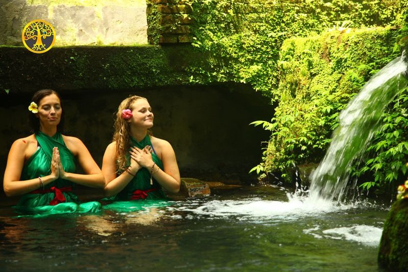 Bali Holy Bath and Jungle Swing Private Day Trip - Coffee, plantation tastings, and the Luwak question