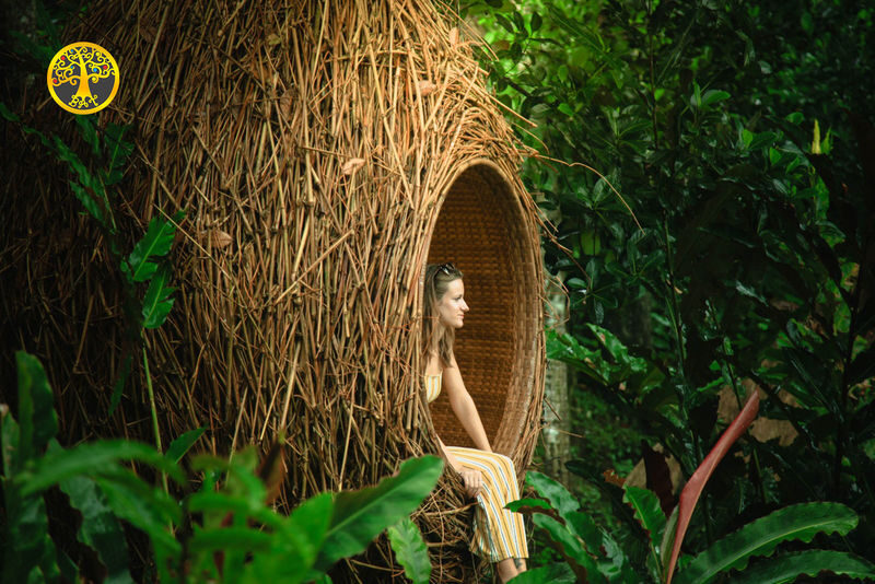 Bali Holy Bath and Jungle Swing Private Day Trip - What the private format adds