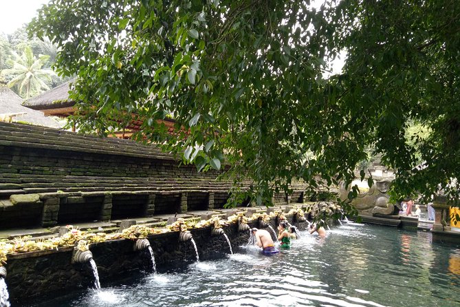 Bali Holy Bathing Ritual and Ubud Highlights Tour - Tour Details and Inclusions