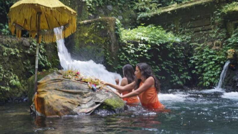 Bali: Holy Water Purification and Palm Reading Tour - Who Should Consider This Tour?