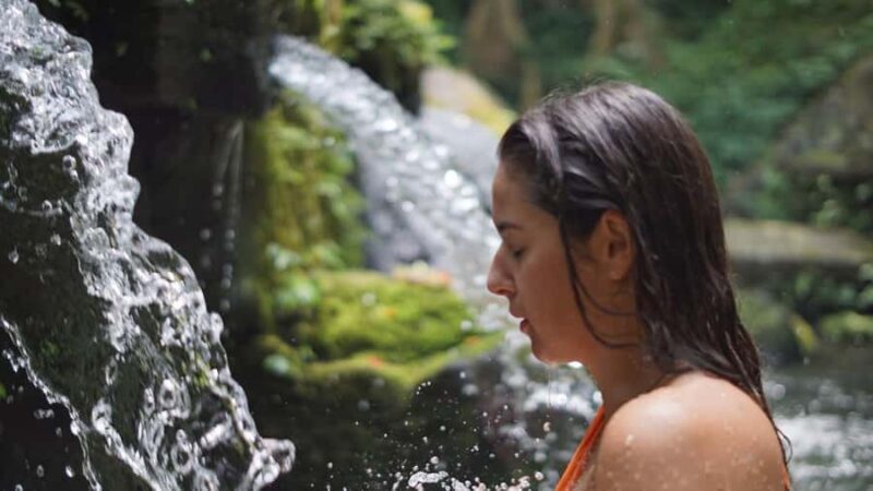 Bali: Holy Water Purification and Palm Reading Tour - FAQ