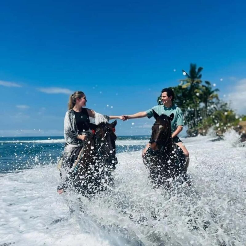 Bali Horse ride at Saba beach Horse tour - The Itinerary Breakdown