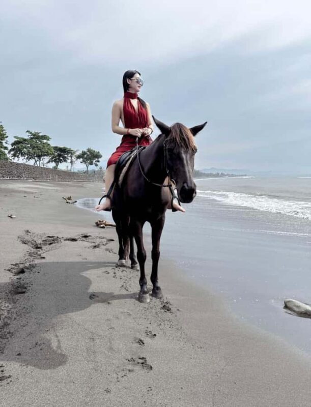 Bali Horse ride at Saba beach Horse tour - Is It Worth It?