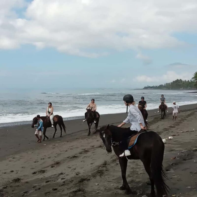 Bali Horse ride at Saba beach Horse tour - The Experience of the Horses and the Guides