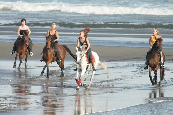Bali Horse Riding 30 Mins At Black Sand Beach In A Private Tour! - Frequently Asked Questions