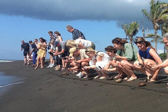 Bali Horse Riding and Turtle Release at Saba Beach - Why the Tour Offers Excellent Value