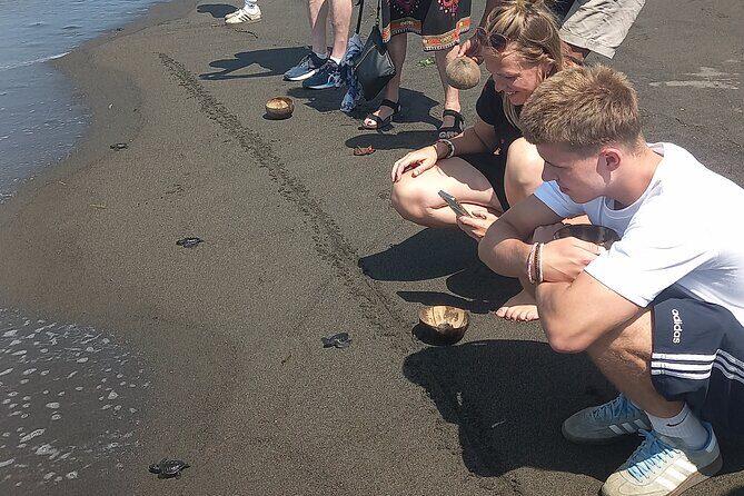 Bali Horse Riding and Turtle Release at Saba Beach - Value and Practicality